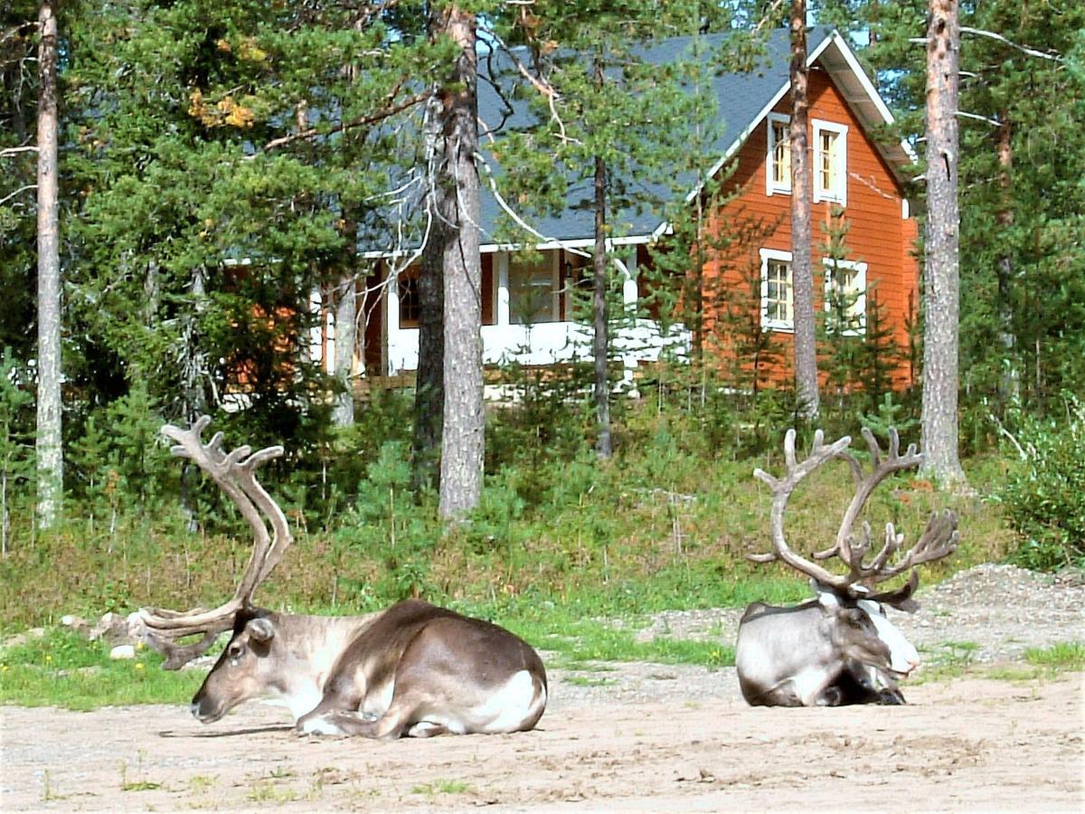 Riekko Chalet Rovaniemi Exteriér fotografie